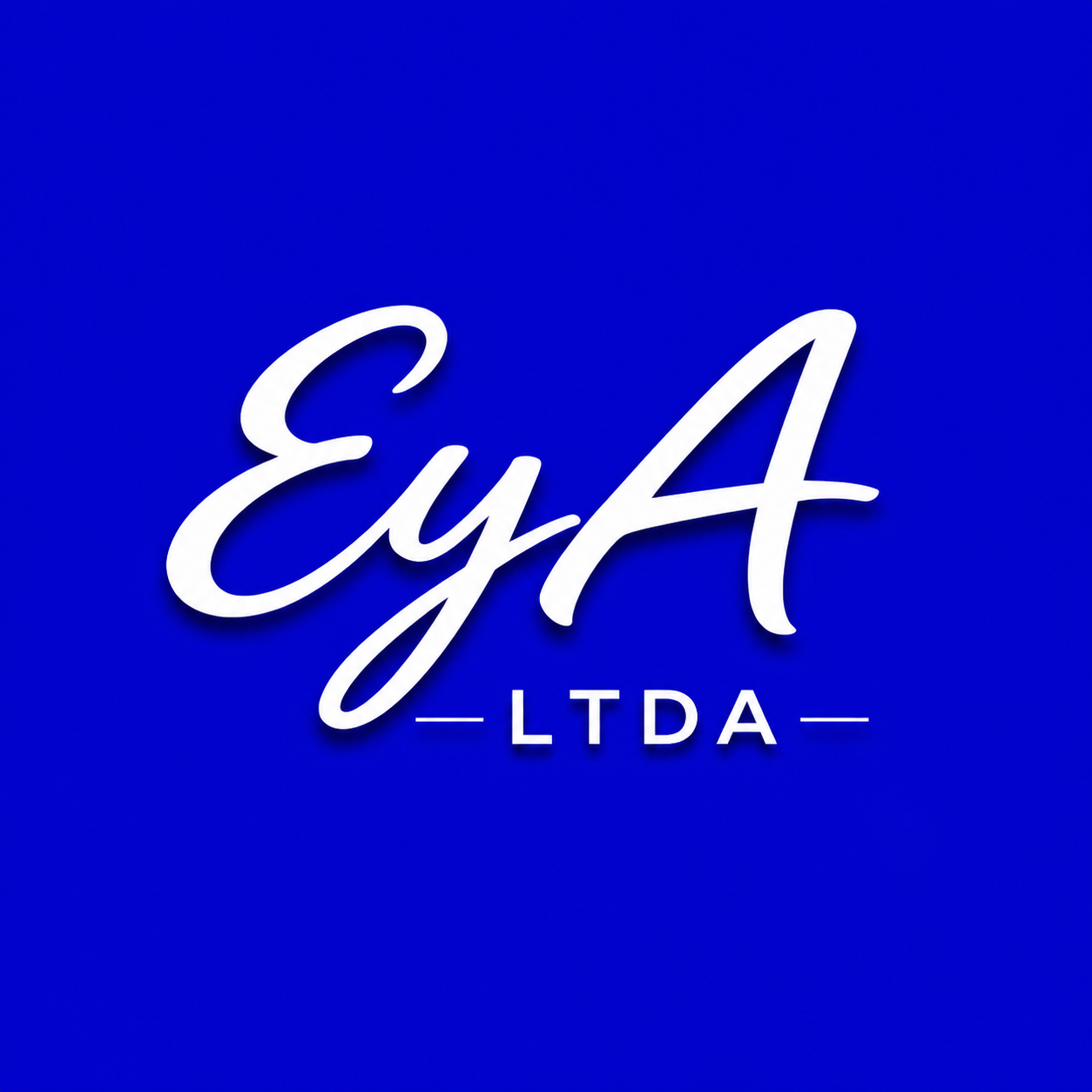 SERVICIO DE ALIMENTACION E Y A LTDA.